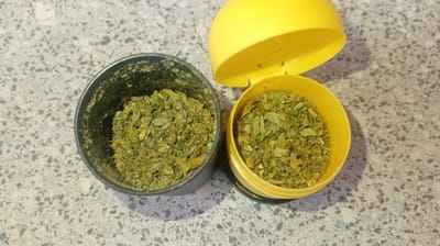 Two containers filled with green, leafy substance sit on a gray, speckled countertop. The container on the left is black and open. The container on the right is yellow with its lid open and hinged back. The lid is the same yellow color. The containers are filled to the top with what appears to be the same substance. The substance is green and appears to be made up of small, leafy pieces. The background consists of the gray, speckled countertop. Karviná, Czechia is not identifiable from the image.