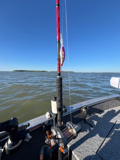 An eye-level, medium shot captures fishing gear on a boat on a body of water, with a distant treeline on a calm, sunny day. The foreground is dominated by a fishing rod with a purple and white lure attached, held in a black rod holder on the boat's gray, textured deck. To the left of the rod holder are two other fishing reels, one black with silver accents and the other silver with orange and black accents. The water, which is a murky green, has small ripples and reflects the blue sky. In the distance, a long, low treeline with a few smaller islands is visible on the horizon. The sky is a clear, cloudless blue. The scene is set in Novopichugovo, Russia.