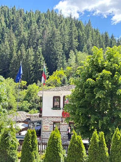 In Shiroka Laka, Bulgaria, a two-story building with stone accents and a tiled roof stands against a backdrop of a dense, green forest. The building has white walls and dark-framed windows, one of which is decorated with a small floral arrangement. A large, leafy green tree dominates the right side of the frame, partially obscuring the building. In front of the building, two flags are visible on flagpoles: a blue European Union flag and a Bulgarian flag with white, green, and red stripes. In the lower part of the image, several conical evergreen trees are arranged in a row behind a wooden fence. A portion of a vehicle is visible behind the fence. One of the building's windows has a sign with Cyrillic lettering. A woman in a pink shirt and dark pants stands on a balcony to the right of the building's main entrance. The sky is blue with scattered white clouds.