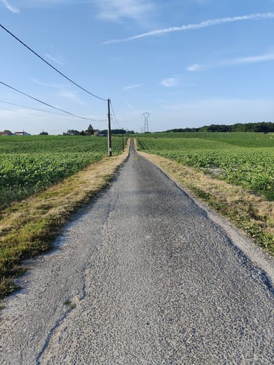 The image shows a rural scene in Salles-de-Barbezieux, France, on a clear, sunny day. A paved road stretches into the distance, flanked by vast, green fields of crops. Telephone poles with wires run along the left side of the road, and a large electricity pylon is visible in the far distance. A few houses and trees are scattered near the horizon. The sky is a vibrant blue with wispy white clouds. The road surface is rough and textured, with some dry grass and dirt visible along its edges.