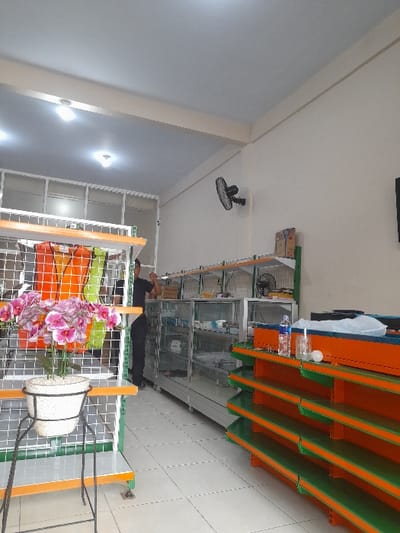 A commercial space presents shelving units packed with merchandise, alongside other shelving with plants. An individual stands near the shelves. A small fan is mounted on the ceiling. Artificial flowers in a white pot are centrally placed. The lighting is a mix of natural and artificial.