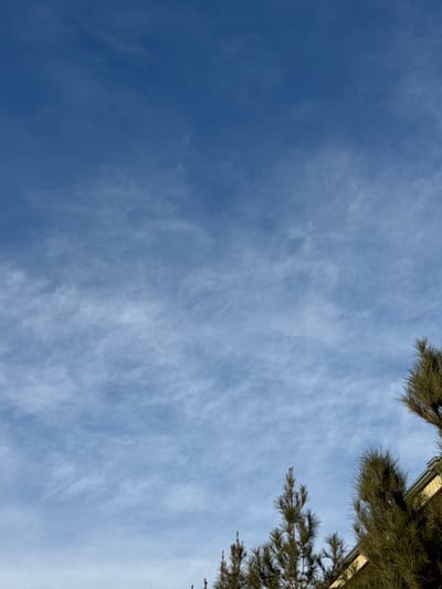 The image depicts an outdoor daytime scene in Apshak, Uzbekistan. The upper approximately 75% of the frame shows a clear blue sky with widespread, thin, wispy white clouds consistent with cirrus or high altocumulus formations. The sky transitions from a deeper blue at the top to a lighter blue towards the bottom. In the lower right corner, several dark green coniferous trees are partially visible, their tops extending upwards into the sky. Behind and slightly to the right of these trees, a section of a building is present, exhibiting a light yellow or beige wall section and a darker-colored roofline or upper facade. No people, specific actions, or interactions are visible.