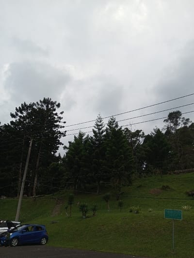 The image displays an overcast outdoor scene in Ambositra, Madagascar, under a grey, cloudy sky. A steep hillside, densely covered with dark green coniferous trees and bright green grass, dominates the background and midground. An asphalt surface, likely a road or parking area, occupies the bottom portion of the frame.

In the lower-left quadrant, a blue hatchback car is parked on the asphalt with its hood open, revealing engine components. Part of a white vehicle is visible immediately to its left, partially obscured. A light-colored utility pole stands upright on the left side of the image, with multiple black power lines extending horizontally across the mid-section, positioned in front of the trees.

On the grassy slope in the lower-right, a rectangular green sign mounted on a metal post is visible, bearing the text "PARKIR GRATIS" (Free Parking). Several smaller, spiky shrubs or young palm-like trees are scattered across the well-maintained grassy incline. A narrow dirt path with visible stone steps ascends the hillside in the middle-left, leading upwards into the dense tree line. No individuals, explicit actions, or interactions are visible within the scene.