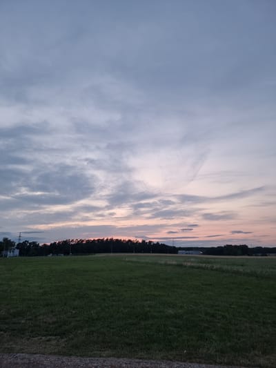 The image depicts a pastoral landscape at dusk, likely in the vicinity of Pohránov, Czechia. A wide expanse of green grass dominates the foreground, with a dark line of trees forming a horizon in the mid-ground. Behind the trees, industrial buildings and a prominent power pylon are visible, suggesting proximity to human settlement. The sky is a canvas of fading light, with scattered clouds tinged with hues of pink and orange from the setting sun. The overall atmosphere is serene and quiet, characteristic of a rural evening.