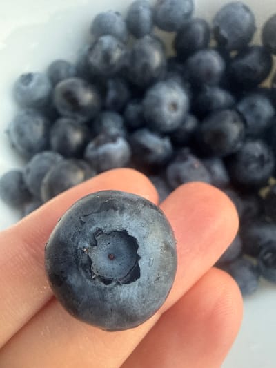 The image displays a close-up shot of a hand holding a single blueberry. The blueberry is dark blue with a slight dusty bloom on its surface and a small indentation at the top where the stem was attached. The hand appears to be that of an adult with visible fingerprints. In the background, out of focus, is a pile of more blueberries. The lighting suggests it could be daytime, possibly indoors or in a shaded outdoor area, as there are no strong shadows or harsh sunlight. The overall impression is one of freshness and natural produce. The context provided indicates the scene is in Chakvi, Georgia. There is no visible text in the image.