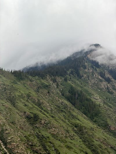 The image depicts a misty mountain landscape, likely in the vicinity of Barskoon, Kyrgyzstan. The upper portion of the frame is dominated by a thick, overcast sky with swirling white clouds that partially obscure the peaks of the mountains. A faint, dark silhouette of what appears to be a bird or aircraft is visible in the upper left quadrant against the pale sky.
The mountains themselves are covered in a dense growth of coniferous trees, interspersed with rocky, barren slopes. The trees are dark green and appear tall and slender. The lower slopes are a vibrant green, covered in grass and smaller shrubs, indicating a more fertile area compared to the higher elevations. The terrain is rugged and steep, with visible rock formations and gullies. The lighting is subdued due to the cloud cover, creating a soft, diffused illumination across the scene. The overall impression is one of a remote, wild, and somewhat somber natural environment.