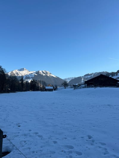 The scene depicts a winter landscape within or near Saanen, Switzerland, under a clear, bright blue sky with a single aircraft contrail visible in the upper right quadrant. The foreground features an expansive, snow-covered field exhibiting numerous human footprints and scattered dark organic debris. A dark wooden fence post with a horizontal white wire is partially visible in the bottom-left.
In the midground, from left to right, a line of dark deciduous and evergreen trees separates the field from structures. A small, light-colored wooden building with a dark roof is positioned among trees further left. To the right, a prominent, multi-story traditional Swiss chalet constructed of dark wood, featuring a dark pitched roof, is situated on a gentle slope. A wooden fence runs along this slope in front of the chalet, and a light-colored SUV is parked adjacent to the building. Beyond this structure, a ski slope with visible cleared trails is evident on the mountainside.
The background is dominated by a range of snow-capped mountains, their peaks illuminated by sunlight, with lower slopes covered in dark evergreen forests. No individuals are present in the image, and no active interactions or actions are depicted beyond the implied past movement that created the footprints in the snow.