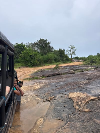The image captures a safari-style journey through a natural, rugged landscape in Situlpawwa, Sri Lanka. The scene is dominated by a massive, weathered rock formation or cliff face on the right, displaying varied textures and shades of grey and beige. A dirt road or path runs alongside this rock, leading into the background where it disappears behind dense green foliage. A prominent, sparse tree stands on this path, growing from the ground adjacent to the rock face.

In the foreground, the robust, black structural bars of an open-sided off-road vehicle (likely a jeep) are visible. A person with light-colored hair or a cap is seated in the vehicle, looking towards the right. Their left arm is resting on the vehicle's side rail. A second person, possibly the driver, is partially reflected in the side mirror, showing an arm and a glimpse of their face.

The sky overhead is overcast and light grey, suggesting a cloudy day. The lush green vegetation, including numerous trees and bushes, indicates a vibrant, warm environment. The overall impression is one of exploring a wild, scenic area. No visible text is present in the image.