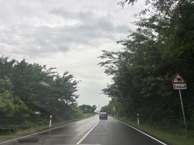 The image depicts a wet asphalt road in the city of Nigoit's Temi, Georgia. The road is flanked by dense green trees on both sides. A dark-colored car is visible driving ahead on the road. A road sign indicating "wild animals" and a distance of "200m" is prominently displayed on the right side of the road. The sky is overcast with clouds. The scene appears to be captured from the perspective of a vehicle.