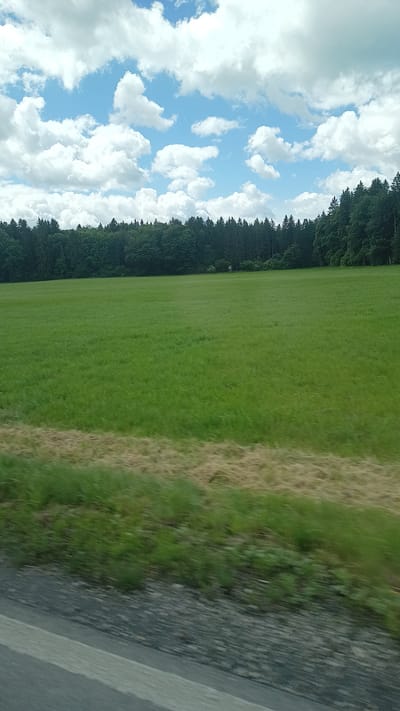 The image depicts a panoramic view of a lush green meadow under a bright blue sky filled with fluffy white clouds. The meadow stretches across the foreground and midground, appearing vibrant and well-maintained. In the background, a dense line of dark green trees forms a natural border, suggesting a forest or woodland. The overall impression is one of a serene rural landscape, likely in a temperate climate. The specific location in Warngau, Germany, is not visually discernible from the image itself, as there are no identifying landmarks or signs. The scene captures a moment of natural beauty, possibly on a clear day suitable for outdoor activities.