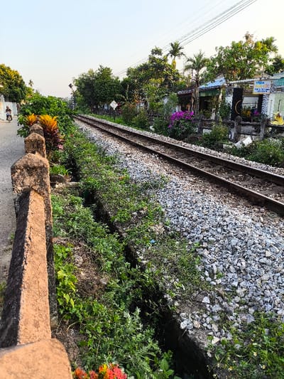 A daylight scene captures a section of railway tracks running parallel to a narrow paved road in Thành phố Quảng Ngãi, Vietnam.
In the foreground, a weathered, dark beige concrete parapet or low wall occupies the left side of the frame, extending from the bottom edge towards the center. To its immediate right, a ditch or channel is overgrown with various green herbaceous plants. Further to the left, a narrow asphalt road is visible, on which a single individual is operating a dark-colored scooter or motorcycle, traveling away from the viewer. Directly beside the road and the concrete barrier, vibrant orange and red-leafed plants are prominent, followed by a dense cluster of green shrubs.
The midground is dominated by a single railway track, consisting of two steel rails laid on dark sleepers and embedded in a bed of grey crushed stone ballast. The track extends diagonally from the lower-right foreground, receding towards the upper-center background.
Beyond the railway tracks, the background features dense tropical vegetation, including multiple palm trees, broadleaf trees, and flowering shrubs, notably bright purple bougainvillea-like blossoms. Partially obscured by this foliage are several single-story residential or small commercial buildings with light-colored facades. One building exhibits a light blue corrugated metal awning. A white diamond-shaped railway warning sign with an 'X' symbol is visible above the vegetation, to the right of the tracks. A vertical sign with blue lettering, partially legible as "NHA NGHI VÀ..." (suggesting a guesthouse), is visible near a building on the far right. Multiple parallel power or communication lines traverse the upper portion of the frame against a clear, pale blue sky.