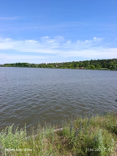 This media file depicts a tranquil landscape scene in Dănceni, Moldova. The primary subjects are a wide, calm body of water and a densely wooded shoreline dotted with houses, suggesting a semi-rural or lakeside village setting. The sky above is a vibrant blue with wispy white clouds, indicating fair weather. The time of day appears to be late morning or early afternoon, given the brightness of the sunlight.
The foreground is characterized by lush green vegetation, including tall grasses and some flowering plants with blue blossoms, growing along the edge of the water. The water itself is a dark, rippling grey, reflecting the sky and the surrounding trees. Across the lake, the shoreline is covered in a mix of deciduous trees and smaller bushes, with several houses peeking through the foliage, particularly on a slightly elevated terrain. A red vehicle, possibly a truck or a small train, is visible parked near the water's edge on the far bank.
There are no people visible in the image, contributing to the peaceful and natural atmosphere. The scene conveys a sense of serenity and the quiet beauty of the Moldovan countryside.
Visible text includes "REDMI Note 13 Pro" in the bottom left corner and "17.06.2026 11:04" in the bottom right corner, indicating the device used for capture and the date and time of the photograph.