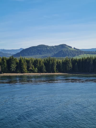 This is a vertical, eye-level, full shot of a tranquil body of water reflecting a dense, green, coniferous forest that stretches across a rocky shoreline. Behind the forest, rolling hills rise, covered in more trees. In the distance, layers of mountains are visible under a clear, pale blue sky. The water in the foreground is deep blue with subtle ripples and wave patterns. The shoreline is made up of small grey and brown rocks with scattered pieces of driftwood. The overall scene suggests a natural, undeveloped landscape, possibly a bay or inlet.