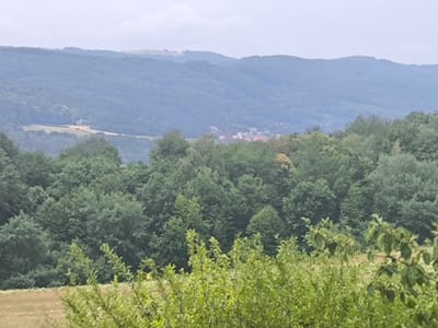 The image shows a landscape view of rolling hills covered in dense green forest. In the distance, a small village with red-roofed buildings is nestled among the trees. The sky is overcast and a light grey. The foreground is a field of dry grass and some shrubbery. The overall impression is one of a rural, natural setting.
