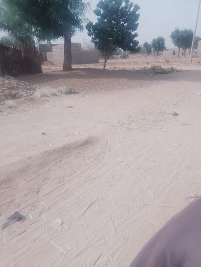 This image captures a dry, rural, or semi-urban environment in Kanwa, Nigeria, under an overcast or hazy sky. The foreground consists of a light-brown dirt road marked with numerous vehicle tire tracks, intermingled with scattered debris including straw-like plant matter and small pieces of white and dark plastic. A blurred, dark fabric object partially obstructs the view in the bottom right corner.
In the midground, a large tree with dense green foliage and a thick, straight trunk stands prominently on the left. To its immediate left, a low fence or wall constructed from woven dark branches or reeds is visible. Behind these, several partially constructed or unfinished buildings, fabricated from light-colored concrete blocks, are present, surrounded by piles of rubble or debris. To the right of the central large tree, another smaller tree with green leaves and a thinner trunk is observed.
Further into the midground and extending into the background, the terrain is characterized by barren, light-brown earth with sparse vegetation and scattered rocks. Several other trees with green foliage are dispersed across the landscape. A light-brown animal, consistent with a goat, is visible standing on the bare ground in the right-center background. Additional structures made of concrete blocks are discernible in the far background. No people are visible.