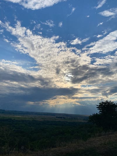 The image captures a panoramic view of the landscape in Horești, Moldova, under a dramatic sky. The upper half of the frame is dominated by a vast expanse of clouds, with patches of blue sky visible. Sunlight filters through the clouds, creating rays that descend towards the horizon. The lower half of the image shows a verdant valley, densely covered with dark green trees. In the distance, the landscape is flatter, with fields and perhaps a distant village or scattered houses. A silhouetted tree stands prominently on the right side of the foreground, adding depth to the scene. The overall impression is one of natural beauty and a somewhat moody, atmospheric day.