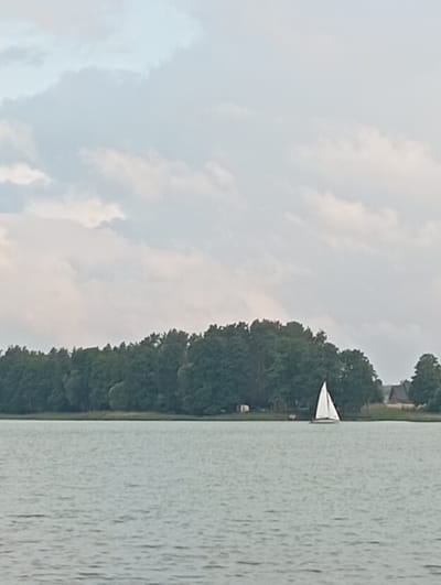A lone white sailboat with a triangular sail navigates a calm, greenish-gray body of water. In the background, a dense line of dark green trees borders the water, forming a lush tree line. On the right side of the tree line, two rustic-looking buildings with dark roofs are visible, suggesting a settlement. The sky above is overcast with soft, white clouds that diffuse the light, creating a muted, atmospheric effect. The scene appears to be a serene landscape in Mołowiste, Poland, with the sailboat as the focal point on the water.