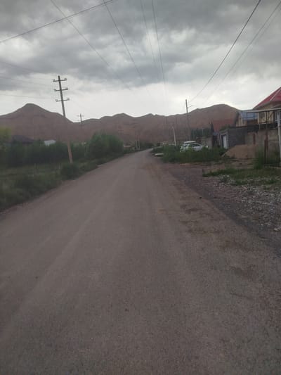 The image depicts a street scene in Naryn City, Kyrgyzstan, under a cloudy sky. A paved road, appearing to be made of asphalt, occupies the foreground and extends into the distance. On the left side of the road, there is sparse vegetation and a few trees. Further back, hills with a barren, brownish landscape are visible, with power lines and utility poles dotting the scene. On the right side of the road, there are several houses with red and blue roofs, as well as fences and piles of building materials. A white car with a roof rack is parked on the right side of the road. The overall impression is of a rural or semi-urban environment on the outskirts of a city, characterized by a somewhat rugged natural landscape and modest residential structures.