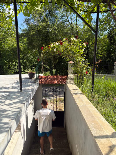 In Chavei, Bulgaria, a person wearing a white t-shirt with a wing design and blue shorts walks down a concrete staircase. The staircase leads to a black metal gate with ornate scrolling. A wall runs along the right side of the staircase, and beyond that, tall grass and a black metal fence are visible. Overhead, a green canopy of vines with grapes is supported by dark poles, casting shadows on the concrete. In the background, a rose bush with red and white flowers is in bloom, and dense green trees form a backdrop. A potted plant sits on a raised concrete platform to the left. The scene is illuminated by bright sunlight.