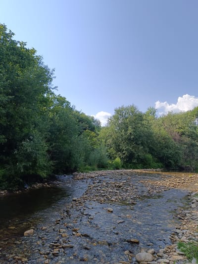 This media file depicts a serene natural landscape in Stănești, Romania, on a clear day. The scene is dominated by a shallow, rocky river flowing through a lush forest. The water is clear, revealing the smooth, multicolored stones that form the riverbed. The riverbanks are densely populated with a variety of green trees and bushes, some of which extend over the water.
On the left side of the image, the trees form a thick canopy, creating a darker, more shaded area along the river's edge. On the right, the river widens slightly, and the bank is covered with a dense collection of stones, some appearing larger and smoother than those in the water. In the background, more trees continue to line the landscape, with a few fluffy white clouds visible against the bright blue sky.
The lighting suggests it is daytime, likely late morning or early afternoon, given the bright sunlight and the clear sky with only a few scattered clouds. The overall mood of the image is peaceful and tranquil, showcasing the natural beauty of the Romanian countryside. There is no visible text in the image. The scene appears untouched by human activity, emphasizing its wild and natural state.