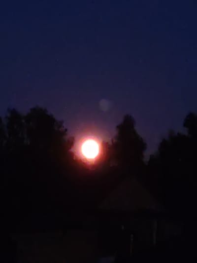 A low-angle, vertical shot captures a night scene. The sky is a deep, dark blue, with faint specks of light that could be stars or noise in the image. In the middle ground, a bright, glowing orb, likely the moon or a strong light source, is visible, radiating a warm, reddish-orange light. This orb is partially obscured by the dark silhouettes of trees that form a dense line across the landscape. The trees are dark and indistinct, their shapes suggesting foliage and branches. In the foreground, a dark, shadowy structure, possibly a roof or a canopy of a gazebo, is faintly discernible, adding a sense of depth to the scene. The overall atmosphere is dark and somewhat mysterious, with the central light source being the focal point. The image does not contain any people or explicit details about the city of Kolpakovo, Russia, beyond the general impression of an outdoor, natural setting.