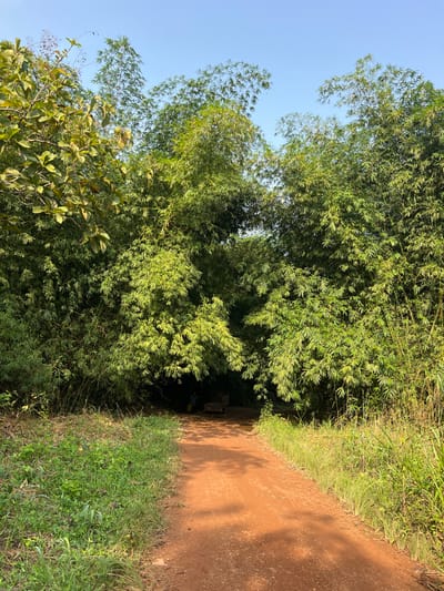 The image displays a reddish-brown dirt path extending into a dense bamboo grove in Logba Adzakoe, Ghana. The path is bordered by green grass and vegetation, with thick bamboo foliage forming an archway over its further extent. Additional broad-leaved green trees are visible on the upper left. The sky above is clear and light blue. At the end of the visible path, within the deep shadows cast by the bamboo, a single individual wearing light-colored clothing is partially visible on the left. Behind this person, a small, two-wheeled cart or trolley is present.