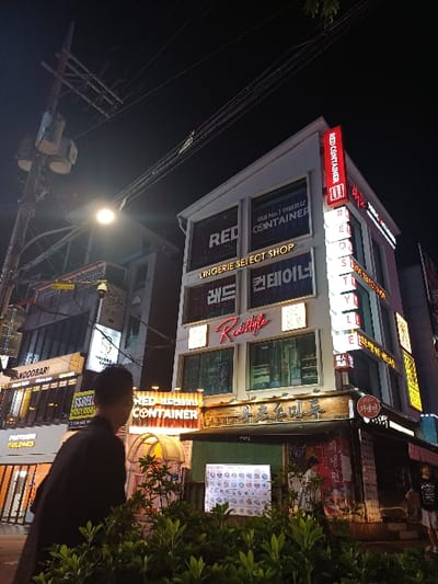 This is a nighttime photograph depicting a commercial street scene in 마포구, South Korea. The environment is urban, characterized by multi-story buildings and artificial lighting.
In the center-right, a prominent four-story building with a light-colored facade is illuminated by numerous signs. The upper floors feature large display windows with bold signage, including "RED CONTAINER LINGERIE SELECT SHOP" in both English and Korean. An illuminated sign stating "대한민국 NO.1 (Republic of Korea No.1)" is also visible on the facade. A vertical red sign on the building's right edge displays "RED CONTAINER" in English and Korean (레드 컨테이너). Below this, a red neon sign spells "Redstyle." The ground floor of this building presents a darker, more traditional-style establishment with a dark wooden facade and an awning. To its left, a bright, illuminated menu board displaying various food items is positioned on the sidewalk. An illuminated arched structure, possibly an entrance or outdoor seating, is visible adjacent to the menu board.
To the left of the main building, another multi-story commercial building is visible, featuring signs such as "MANDOOBAR" and "Pantone Colored." On the far left, a tall utility pole laden with numerous overhead wires is silhouetted against the dark sky, partially illuminated by a street light.
In the immediate foreground, green foliage partially obscures the lower portion of the scene. Two individuals are present: A male in dark clothing, facing away from the camera, is partially visible in the mid-left, positioned behind the foreground foliage. A second individual, wearing a dark t-shirt and light shorts, is partially visible on the far right, near the ground-floor entrance of the main building. No specific actions or interactions between individuals are discernible. The sky above is dark, indicating a nocturnal setting.