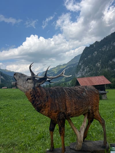A wooden sculpture of a stag, with its mouth open in a roar, is positioned in a lush green meadow in Lauterbrunnen, Switzerland. The stag sculpture is the primary subject, rendered in intricate detail with visible wood grain and carved features. Behind the sculpture, the landscape unfolds to reveal rolling green hills and steep, tree-covered mountains under a sky filled with scattered white clouds. A small wooden building with a red roof is visible in the middle ground to the right, nestled amongst the green landscape. The overall scene conveys a sense of natural beauty and artistic representation within a mountainous alpine setting.