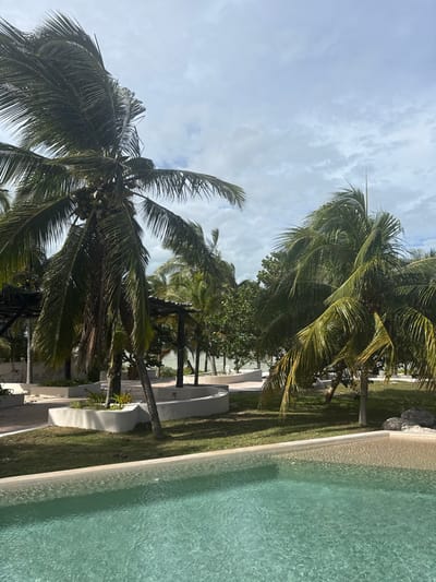 Palm trees sway under a cloudy sky beside a pristine pool. The water, clear and inviting, meets a concrete edge. The greenery around the pool provides a lush backdrop, with additional trees stretching towards the shoreline visible in the background. Some structures appear to frame the edge of the water.