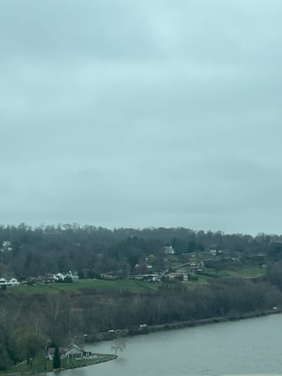 The image shows a river landscape under an overcast sky. The water fills the right side of the frame, appearing calm and gray. On the opposite bank, a tree-covered shoreline ascends to a residential area with houses dotting the landscape. The location appears to be the Hudson River at the town of Fishkill in the United States. The scene is still and devoid of human activity.