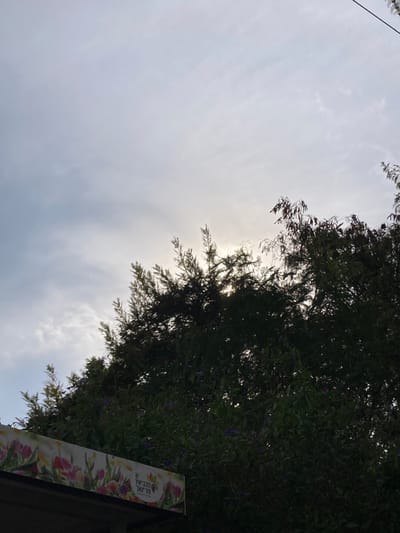 The image shows a cloudy sky viewed from the ground, looking up through a dense tree canopy. The sun is partially obscured by the leaves, casting a bright spot of light on the clouds. There is a sign in the lower right corner that reads "Topbud", with an image of flowers. The location is Kokhav Ya'ir Tzur Yigal, Israel, based on the provided coordinates.
