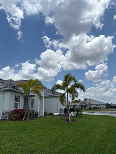 The image depicts a suburban street in Parrish, United States, on a clear day with scattered cumulus clouds. The foreground is dominated by a meticulously manicured green lawn. In the mid-ground, a modern, light-colored house with a gray tiled roof is visible on the left. Adjacent to the house, a palm tree with prominent fronds stands, supported by three wooden stakes. Another palm tree, slightly smaller and with fewer fronds, is positioned further to the right. Behind these trees, an American flag is visible, attached to a black pole. The driveway leading to the house is paved with interlocking gray bricks. Further down the street, more houses with similar architectural styles and gray tiled roofs are visible, suggesting a planned community. The overall environment is clean and well-maintained, characteristic of a developed residential area.