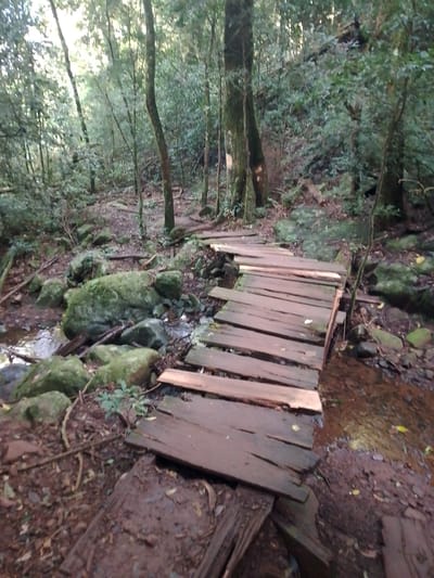 The image depicts a dilapidated wooden bridge spanning a small stream in a forested area. The bridge is constructed of rough-hewn wooden planks, many of which are broken or missing. The stream flows over moss-covered rocks. The surrounding forest is dense with trees and undergrowth. The location is Villarrica, Paraguay. No people are visible. The scene suggests a neglected or abandoned trail.