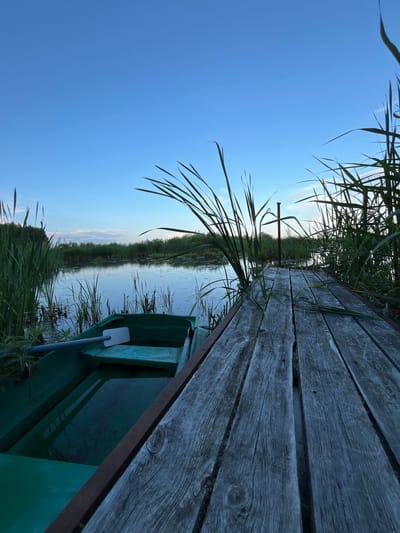 A low-angle, close-up shot features a weathered wooden pier extending into a calm body of water, possibly a lake or river, adjacent to the city of Nagorny, Russia. The pier's planks are gray and textured, with gaps revealing hints of water below. To the left of the pier, a green plastic rowboat is partially submerged, with one oar visible inside. Tall reeds and grasses line the water's edge, creating a natural barrier. The sky above is a clear, pale blue, with a few wispy clouds visible near the horizon. The overall atmosphere is serene and natural, suggesting an early morning or late evening setting. No people are present in the scene.