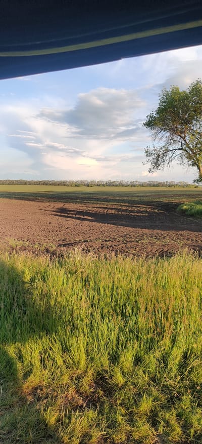 The image presents a rural landscape in Randava, Ukraine, captured from what appears to be inside or beside a vehicle. The perspective looks out over vast agricultural fields under a partially cloudy sky.
In the foreground, on the left side, a dark surface with two parallel yellow stripes is visible, suggesting the roof or window frame of a car or bus. Above this, a clear blue sky with scattered white and grey cumulus clouds dominates the upper left quadrant. A tree branch with green leaves extends into the frame from the top left.
The central and right portions of the image reveal an expansive open field. A large section of recently tilled, dark brown earth, showing visible soil furrows and tractor tire tracks, stretches from the mid-ground towards the horizon. Long, distinct shadows, likely cast by unseen trees to the left, extend across this cultivated land. Beyond this, a strip of greener, possibly younger, crops is visible, followed by a dense line of trees forming a distant treeline across the horizon.
To the right, a vibrant expanse of tall, green and golden-hued grass fills the foreground and mid-ground, bathed in warm, directional sunlight. This strong illumination on the grass, combined with the long shadows, suggests the "golden hour," either late afternoon or early morning.
The scene conveys a sense of peaceful vastness and natural beauty, characteristic of a fertile agricultural region. There are no people or discernible activities taking place, and no visible text. The weather appears clear and bright, with gentle cloud cover.