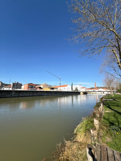 The image depicts a panoramic view of the Nabão River in Tomar, Portugal, under a clear, bright blue sky. The river occupies the lower half of the frame, flowing from the foreground towards the background, exhibiting calm, murky greenish-brown water with subtle reflections.

On the right side of the foreground, a grassy bank slopes gently towards the river, bordered by a rustic retaining wall constructed from vertical wooden posts and horizontal planks. Patches of green and dry, yellowish grass are visible on this bank. A large, deciduous tree with bare branches and nascent buds partially extends into the upper right corner of the frame. Further along the right bank, smaller, leafless trees are visible, and a grassy path extends into the distance.

The opposite bank of the river features a prominent, dark-colored concrete retaining wall. Above this wall, a row of buildings lines the river. Notable structures include a reddish-orange building with a partially visible "RIO" sign on its facade, and several other multi-story buildings of varying colors including white, grey, and light yellow. Some structures appear to be undergoing construction or renovation, with exposed framing visible. A tall, red and white construction crane is positioned above these buildings in the mid-ground. In the further distance, an industrial-style building with a reddish-brown brick chimney stands out, and a white, arched bridge spans the river connecting both banks. On the elevated horizon behind the buildings, a distinct historic stone structure, likely a castle or convent, is visible. No individuals or animals are present within the scene. The overall lighting suggests mid-day conditions.