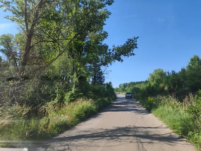The image depicts a rural road in Rudartsi, Bulgaria, on a clear sunny day. The road, paved with asphalt, is in a state of disrepair with visible cracks and patches. It winds through a landscape densely populated with lush green trees and tall grass, characteristic of a rural Bulgarian setting during summertime. The left side of the road is bordered by a dense line of trees and vegetation, with sunlight dappling through the leaves, creating shadows on the road surface. On the right side, the vegetation is equally dense, with tall grasses and wildflowers adding to the natural scenery. In the distance, a silver SUV is driving away from the camera, heading uphill along the road. The sky is a vibrant, cloudless blue, indicating fair weather. The perspective suggests the photo was taken from a moving vehicle.