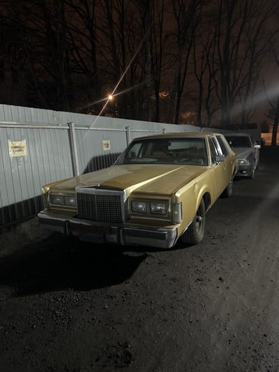 The image displays a nighttime outdoor scene in Zhabkino, Russia. A gold-colored, older model full-size sedan, featuring a prominent chrome grille and dual square headlights, is parked in the foreground on an unpaved dirt and gravel surface. Its body appears dirty, and the front bumper shows signs of wear. Behind this vehicle, a silver-grey sedan is partially visible. Both cars are parked parallel to a light-colored corrugated metal fence, which has two rectangular signs with Cyrillic text affixed to it. Above and beyond the fence, numerous leafless deciduous trees are silhouetted against a dark night sky. A bright streetlight, emitting a distinct starburst flare, illuminates the upper left portion of the scene. No individuals are present.