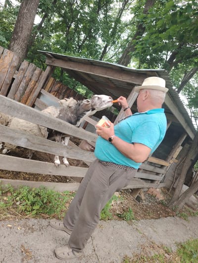 In Zima Juzhnaja, Russia, a man wearing a white hat and a teal polo shirt is feeding a sheep a carrot. He holds a clear plastic container with a red lid and what appears to be food or treats inside. The sheep is reaching its head through a wooden fence to take the carrot from the man's hand. Behind the fence, other sheep are visible. The environment appears to be an outdoor animal enclosure with a rustic wooden structure and mature trees in the background. The man is wearing brown pants and tan sandals.