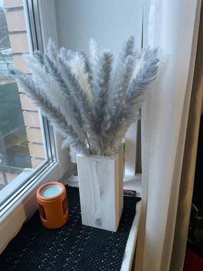 A low-angle, indoor shot depicts a window sill. A square, light-colored wooden vase holds decorative gray and white pampas grass. An orange ceramic container with white contents sits next to the vase. A black, textured rug covers the surface adjacent to the window. The window overlooks an exterior view of buildings. The image may be taken in the city of Лесной Пейзаж Кп (шарапово), Russia.