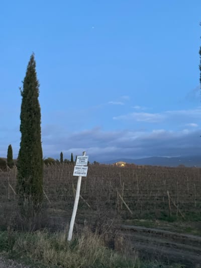 This image, taken in Montalcino, Italy, depicts a rural landscape at what appears to be late afternoon or early evening, characterized by a clear sky with scattered clouds and soft, natural light. The foreground and midground are dominated by rows of a dormant vineyard, suggesting a winter or early spring season. To the left, a tall, slender cypress tree stands prominently, with smaller cypress trees visible further back.
In the midground, towards the right, a wooden post supports two white signs. The visible text on the signs is in Italian and reads: "PROPRIETA PRIVATA VIETATO L'INGRESSO A PERSONE NON AUTORIZZATE RISERVATA," which translates to "PRIVATE PROPERTY ENTRY FORBIDDEN TO UNAUTHORIZED PERSONS RESERVED." A narrow, unpaved dirt path runs alongside the vineyard rows on the right side of the image.
In the distant background, mountains are visible under the twilight sky. A distinct, brightly lit structure, possibly a building or estate, stands out against the darker mountainous terrain. There are no people visible in the scene. The overall atmosphere is tranquil and rural, emphasizing the agricultural character of the region.