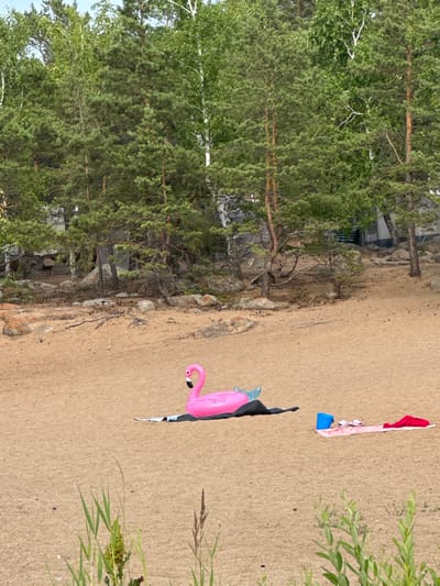 The image depicts a sandy beach area with trees in the background. In the foreground, a pink inflatable flamingo lies on the sand, positioned on top of a dark fabric. To the right of the flamingo, a pink towel is spread out with a blue bucket, a pair of flip-flops, and a red garment placed on it. Some sparse green vegetation is visible in the lower part of the image. The background features a dense line of green trees, with some rocks and structures visible behind them. The overall scene suggests a relaxed outdoor setting, possibly a beach or lakeside. The location is identified as Володарский ауылдық округі, Kazakhstan.
