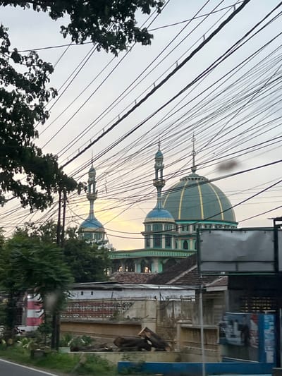 This image depicts an urban or semi-urban street scene in Bulusan, Indonesia, viewed under an overcast or twilight sky. The central subject is a mosque featuring a large green main dome with prominent gold ribbing and two visible minarets, each topped with a smaller blue and gold dome and spires. The mosque building itself is light green with white architectural details, including a series of arched windows and columns, visible above residential or commercial structures with brown tiled roofs.

In the midground, various buildings with white walls and fences are visible, separated by a low, light-colored concrete wall. A pile of several cut logs rests on the ground behind this wall. To the far left, partially obscured by green foliage, is a red and white striped pole. A large, rectangular, grey billboard or sign is positioned on the right side of the frame, partially blocking a building. The foreground shows a strip of green grass and a paved surface, likely a road.

Numerous black utility wires crisscross the upper portion of the frame, strung across the sky, with dark green tree foliage visible on the upper left and between structures. No individuals are visible in the scene. The lighting suggests either early morning or late afternoon, with a faint yellow hue visible in the sky behind the mosque.