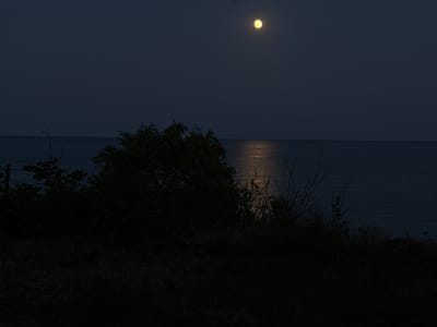 This image depicts a nighttime scene on the coast of Durankulak, Bulgaria, under a bright full moon. The moon, a luminous yellow orb, is positioned in the upper portion of the dark sky, casting a shimmering reflection on the calm sea. In the foreground, silhouetted vegetation, including trees and tall grasses, creates a dark, textural contrast against the illuminated water. The overall atmosphere is serene and natural, highlighting the nocturnal beauty of the coastal landscape.