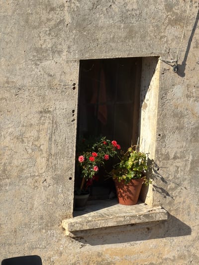 The image shows a weathered, rough-textured stone wall in Arcahueja, Spain. A rectangular window opening is visible in the center of the wall, revealing a darkened interior with a barred window. On the exterior windowsill, two potted plants are placed. The plant on the left is in a dark pot and has several red flowers and green leaves. The plant on the right is in a terracotta-colored pot and has lighter green, trailing foliage. The sun casts strong shadows on the wall and windowsill, indicating it is daytime. A thin, light-colored wire is attached to the wall to the right of the window, extending upwards and casting a shadow.