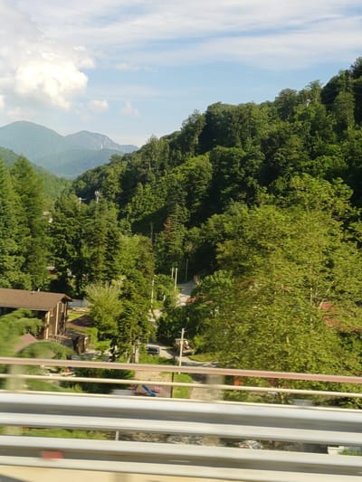 The image captures a scenic view of a mountainous, forested area, likely in the vicinity of Chvizhepse, Russia. The foreground features a modern highway railing, suggesting the photo was taken from a moving vehicle. Beyond the railing, lush green trees dominate the landscape, with some buildings, possibly houses or cabins, nestled amongst the foliage. The trees climb up the steep slopes of the mountains, which are a prominent feature in the background, partially shrouded by a hazy sky with scattered clouds. The overall impression is one of natural beauty and a semi-rural setting, consistent with the mountainous terrain of the Chvizhepse region.
