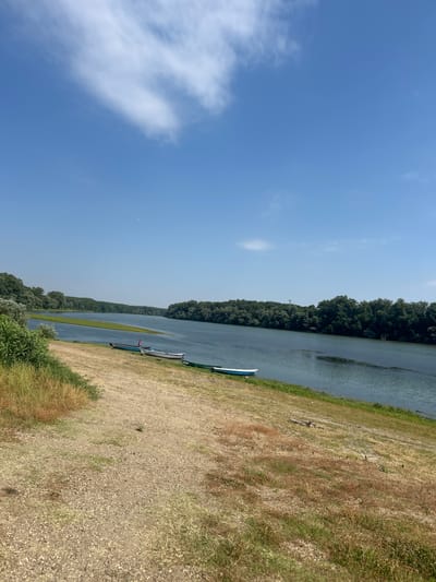 The image depicts a wide, calm river flowing through a lush, tree-lined landscape under a bright blue sky with scattered white clouds. On the left bank of the river, a dry, grassy slope leads down to the water. Several small boats are resting on the bank, some partially submerged in the shallow water. In the foreground, the dry grass and gravelly ground suggest a sunny, possibly warm day. The scene appears to be a natural area, likely a park or a riverside recreational spot within or near the city of Belene, Bulgaria, given the context. One person, wearing a red shirt, is visible standing by one of the boats. The river is bordered by dense green trees on both sides, with a strip of green vegetation visible on the far bank in the distance.