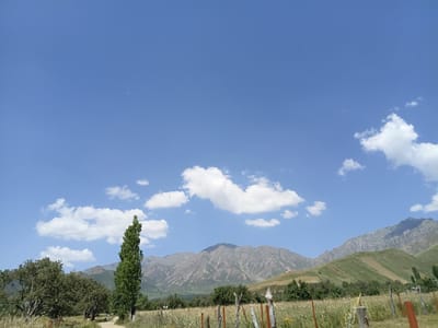 The image shows a scenic landscape of mountains and fields under a clear blue sky with scattered white clouds. In the foreground, there is a dirt path lined with dry grass and wildflowers, and a wooden fence. Several trees are visible, including a tall, slender evergreen tree on the right and a cluster of leafy trees on the left. The background features rolling green hills that gradually rise to rugged mountains with visible rock formations and some patches of vegetation. The scene appears to be in a rural, mountainous area, likely in the vicinity of Kalaynay, Tajikistan, given the geographical characteristics. There are no people or animals readily identifiable in the image. The overall impression is one of natural beauty and tranquility.