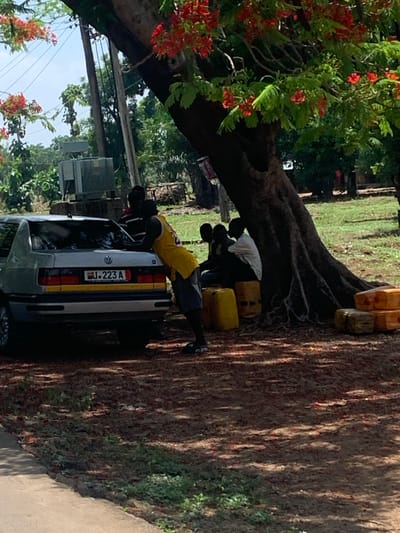 The image shows two men standing near a parked silver Volkswagen car. The car's license plate reads "J.223A." The men appear to be working on or interacting with the car. They are positioned next to a large tree with exposed roots and red flowers. Several yellow jerrycans are stacked near the tree. The scene appears to be outdoors, possibly along a roadside in Kukum, Nigeria. The location is also suggested by the scenery and license plate on the Volkswagen car.