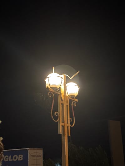 The image shows a streetlamp at night in Suzak, Kyrgyzstan. The streetlamp has two globes that are illuminated and casts a warm glow. The streetlamp is ornate with decorative metalwork. In the background, there is a dark sky, some foliage, and a portion of a blue and white truck. The truck has the word "GLOB" visible on its side. The overall scene is dark, with the streetlamp being the primary source of light.